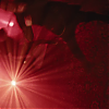 amyleefans03091.png