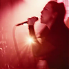 amyleefans03271.png
