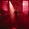 amyleefans03481.png