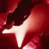 amyleefans04801.png