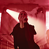 amyleefans04831.png