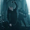 amyleefans05131.png