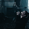 amyleefans05641.png
