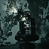 amyleefans05851.png