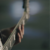 amyleefans00481.png