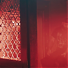 amyleefans07531.png