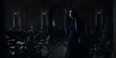 amyleefans01381.png