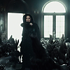 amyleefans01291.png