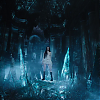 amyleefans01561.png