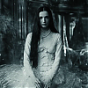 amyleefans01681.png