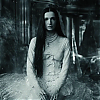 amyleefans01696.png