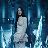 amyleefans01786.png
