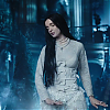 amyleefans01861.png