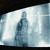 amyleefans03676.png