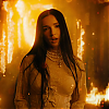 amyleefans03706.png