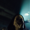 amyleefans01741.png