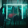 amyleefans02191.png