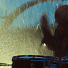 amyleefans04831.png