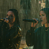 amyleefans04876.png
