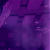 amyleefans03241.png