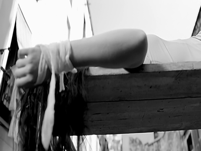 amyleefans01981.png