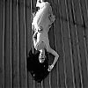 amyleefans02041.png