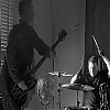 amyleefans05521.png