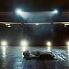 amyleefans01751.png