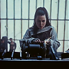 amyleefans02026.png