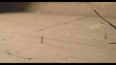 amyleefans02401.png