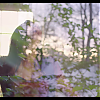 amyleefans01981.png