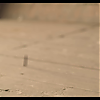 amyleefans02401.png