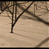 amyleefans02461.png
