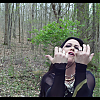 amyleefans03421.png