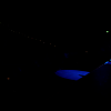 amyleefans00601.png