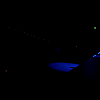 amyleefans00631.png