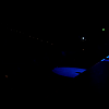 amyleefans00661.png