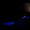 amyleefans01591.png