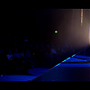amyleefans02101.png