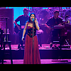 amyleefans02491.png