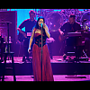 amyleefans02521.png