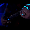 amyleefans03631.png