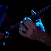 amyleefans03691.png