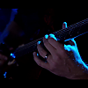 amyleefans03721.png