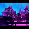 amyleefans06601.png