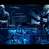 amyleefans03331.png