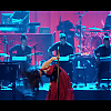 amyleefans03721.png