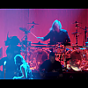 amyleefans03931.png