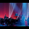 amyleefans04351.png