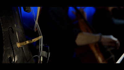 amyleefans01441.png